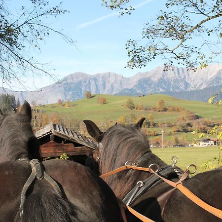 Apartament Oberdeutinghof Saalfelden Zewnętrze zdjęcie
