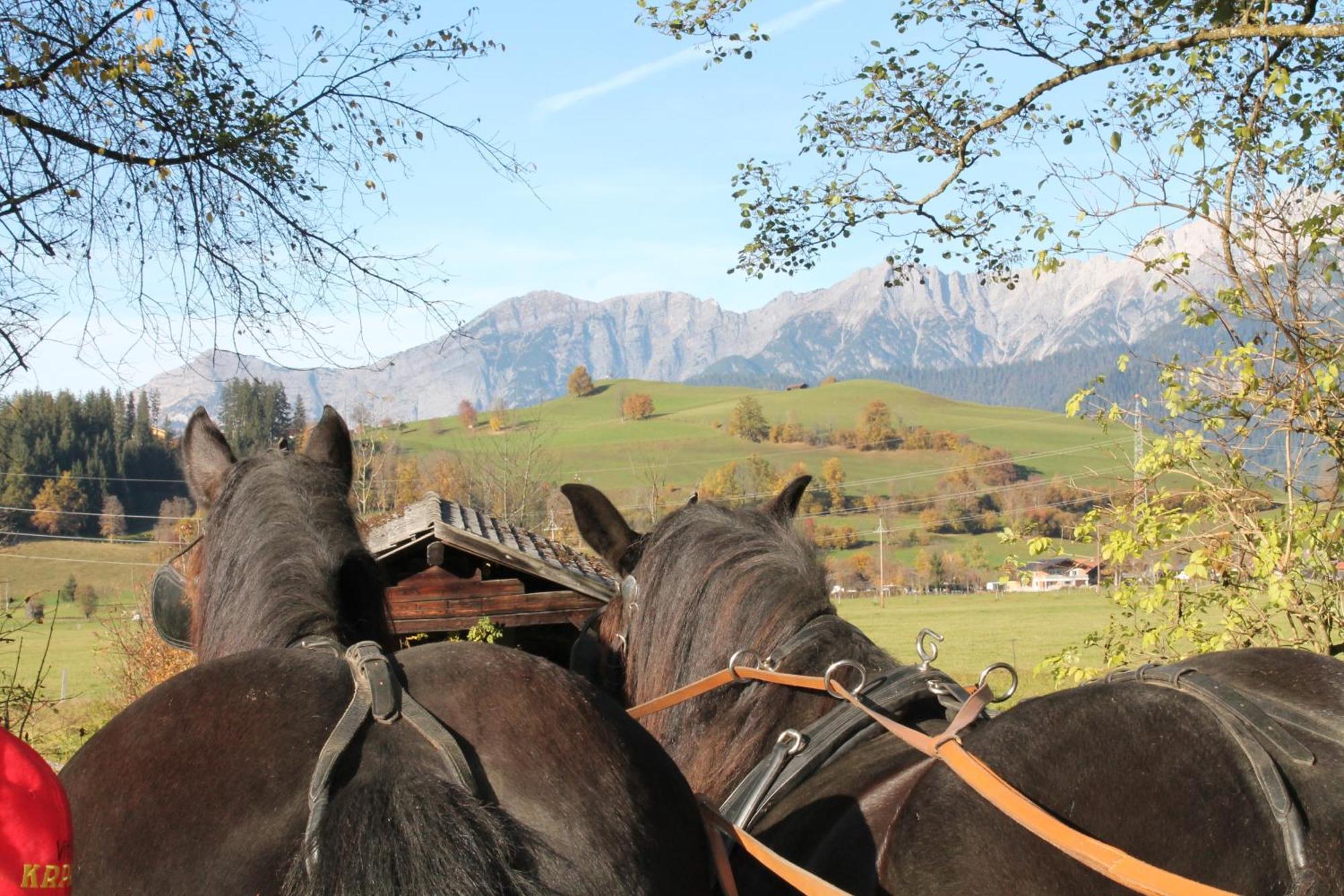 Apartament Oberdeutinghof Saalfelden Zewnętrze zdjęcie